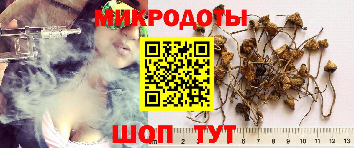 Галлюциногенные грибы мухоморы Лесозаводск