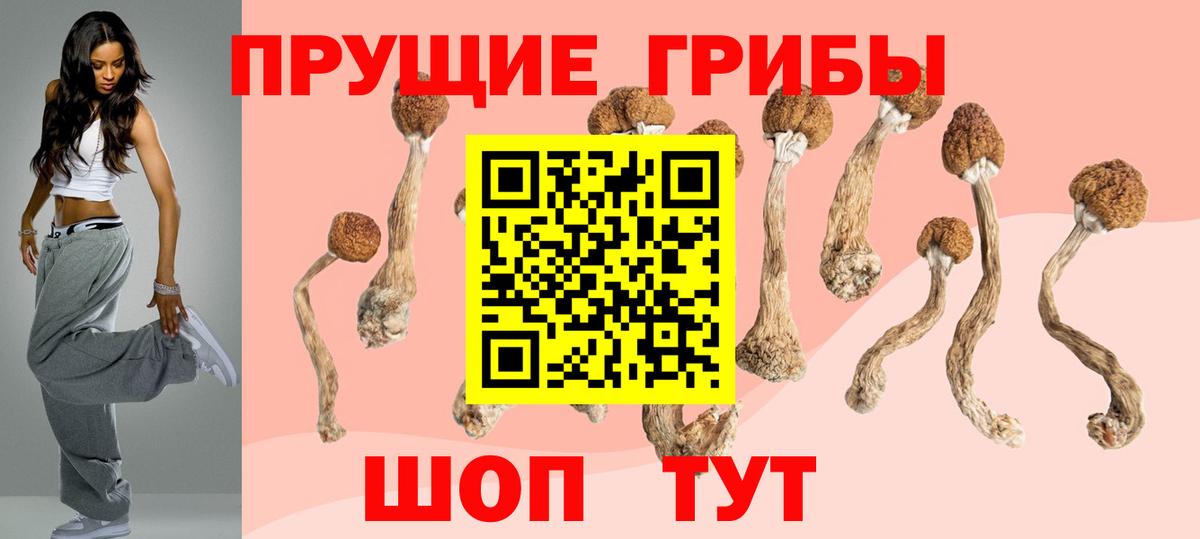 Лесозаводск  Псилоцибиновые грибы Psilocybe  Псилоцибиновые грибы мицелий  Вход с VPN 